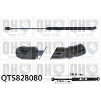 Quinton Hazell QTS828080 Gasveer achterklep