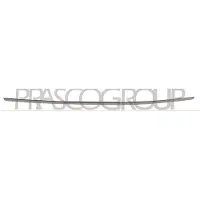 BLIC Sierlijst/beschermstrip, bumper 5703-05-3518976P