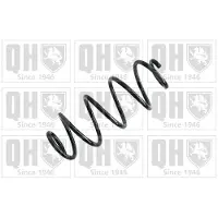 Quinton Hazell QCS6913 Chassisveer