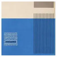 Modulor Cnt PREOCCUPATIONS (CLEAR)
