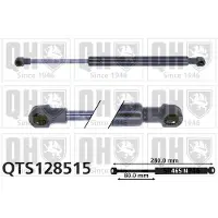 Quinton Hazell QTS128515 Gasveer achterklep