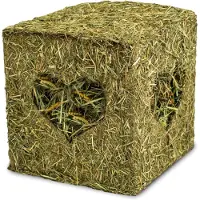 Intratuin JR Farm Hooiblok Met Meelwormen 125 G