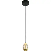 Highlight Hanglamp Golden Egg Zwart Enkel