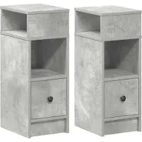 vidaXL Nachtkastjes 2 st met lade 25x31x66 cm betongrijs