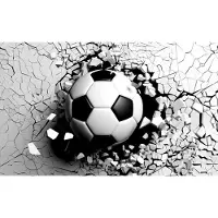 Karo-art 368cm X 280cm - Fotobehang - Voetbal komt door de muur, zwart/wit, te koop in 11 maten, incl behanglijm