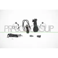 PRASCO IZ8224433 Mistlamp