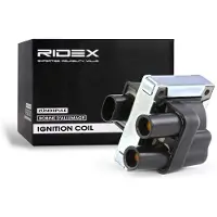 RIDEX 689C0012 Bobine