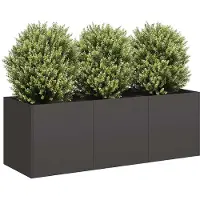vidaXL Plantenbak Zwart 120x40x40 cm Koudgewalst Staal