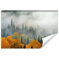 Karo-art 300cm X 210cm - Fotobehang - Mist in herfstbos, premium print, inclusief behanglijm