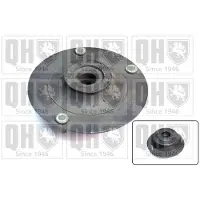 Quinton Hazell EMR2520 Veerpootlager