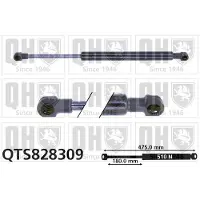 Quinton Hazell QTS828309 Gasveer achterklep