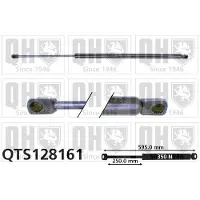 Quinton Hazell QTS128161 Gasveer achterklep