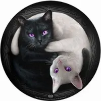 Spiral - Gothic Snijplank - Ying Yang Cats - voor Geen - meerkleurig - Maat Standard