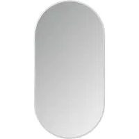 Boss & Wessing Led-spiegel ovaal bws colorato met verwarming 100x50 cm rvs