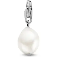CO88 Collection Parel Hanger- 14x10 mm - Bedel - Charm - Edelstaal - Carabijnhaak - Zilverkleurig - 8CH-00020