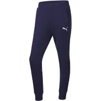 Puma Sportbroek 'Team Goal' navy / wit