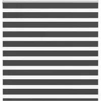 vidaXL Zebra rolgordijn 150x100 cm stofbreedte 145,9 cm zwart