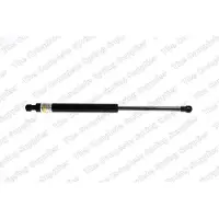 LESJÖFORS 8114203 Gasveer achterklep