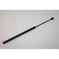AUTOMEGA 100001610 Gasveer achterklep
