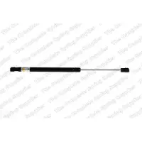 LESJÖFORS 8163459 Gasveer achterklep