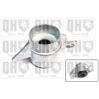 Quinton Hazell EMR4985 Veerpootlager