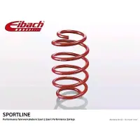 EIBACH F21-30-001-03-VA Chassisveer
