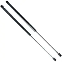 Einparts EP10010GS Gasveer achterklep