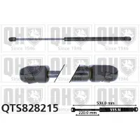 Quinton Hazell QTS828215 Gasveer achterklep