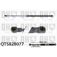 Quinton Hazell QTS828077 Gasveer achterklep