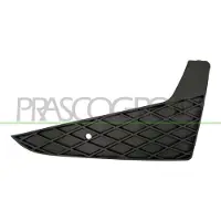 BLIC 6502-07-6621912P Ventilatiegrille, bumper