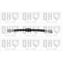 Quinton Hazell BFH5579 Remslang