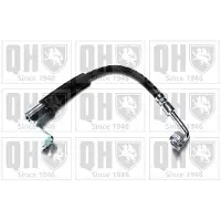 Quinton Hazell BFH5206 Remslang