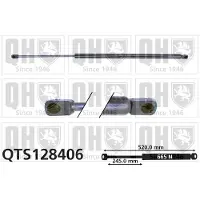 Quinton Hazell QTS128406 Gasveer achterklep