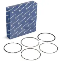 KOLBENSCHMIDT Zuigerveer onderdelen set 800114110000