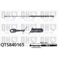 Quinton Hazell QTS840165 Gasveer motorkap