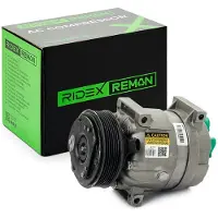 RIDEX 447K0086R Aircopomp