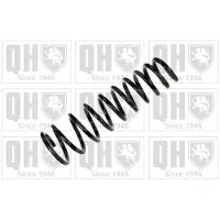 Quinton Hazell QCS5243 Chassisveer