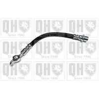 Quinton Hazell BFH6138 Remslang