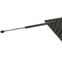 RIDEX 219G1257 Gasveer achterklep