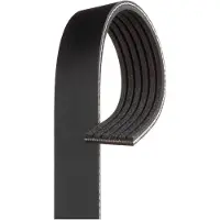 Gates 6PK1005EST Multiriem