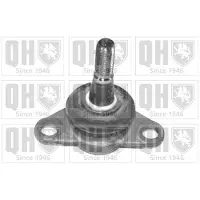 Quinton Hazell QSJ2122S Fuseekogel