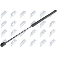 NTY AE-PL-062 Gasveer achterklep