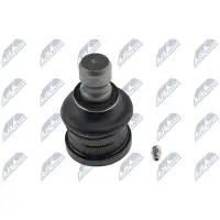 NTY ZSD-PL-001 Fuseekogel