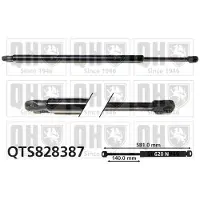 Quinton Hazell QTS828387 Gasveer achterklep