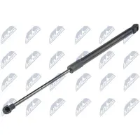 NTY AE-RE-068 Gasveer achterklep