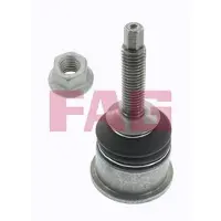 Fag 825 0360 10 Fuseekogel