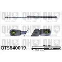 Quinton Hazell QTS840019 Gasveer achterklep