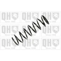 Quinton Hazell QCS6446 Chassisveer