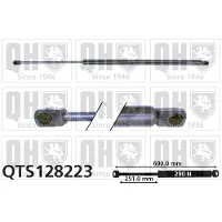 Quinton Hazell QTS128223 Gasveer achterklep