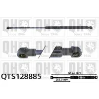 Quinton Hazell QTS128885 Gasveer motorkap